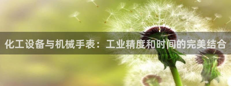 新城平台登录入口官网首页下载