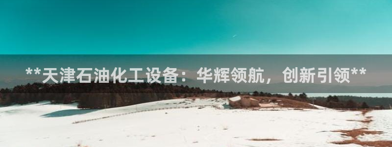 新城平台总代理是谁