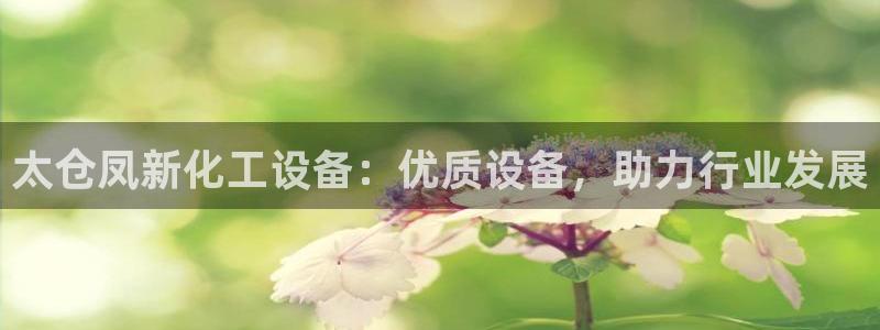 新城平台将7O777