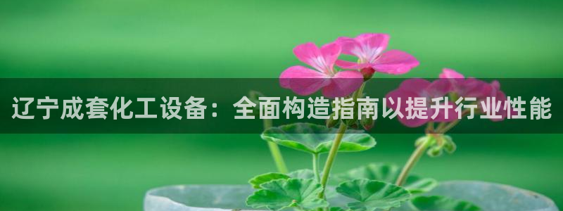 新城平台总代