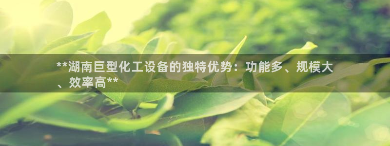 新城平台登录入口官网查询