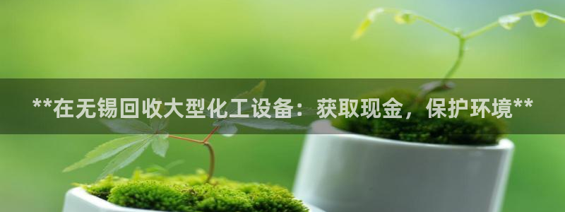 新城平台是干嘛的公司有哪些
