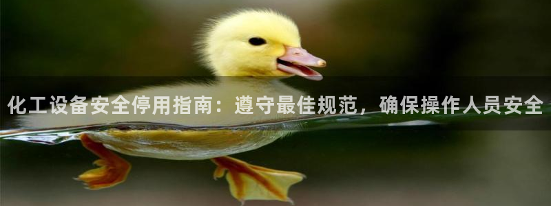 新城平台是正规平台吗