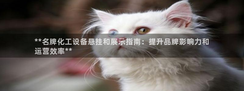 新城平台注册流程及费用