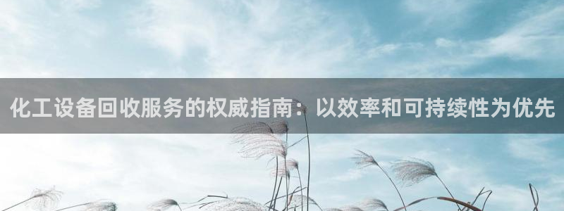 新城平台登录入口官网查询系统