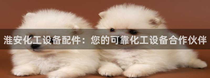新城平台登录入口官网查询网址
