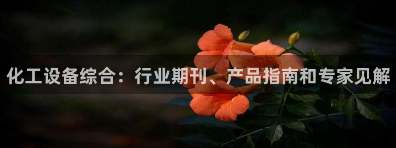 新城平台授权注册
