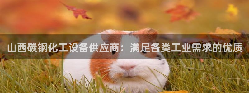 新城平台登录入口官网下载app
