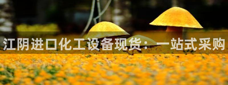 新城平台代理怎么样