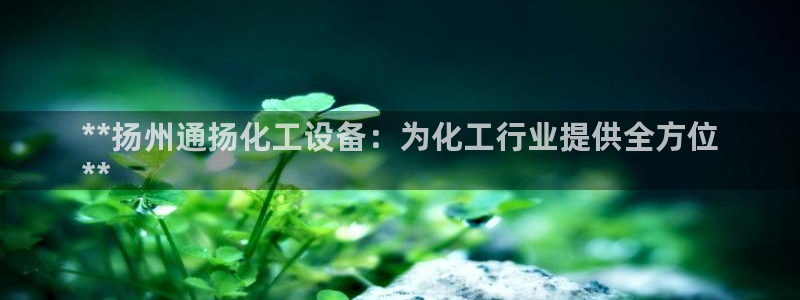 新城平台线路登录不上去怎么办呀