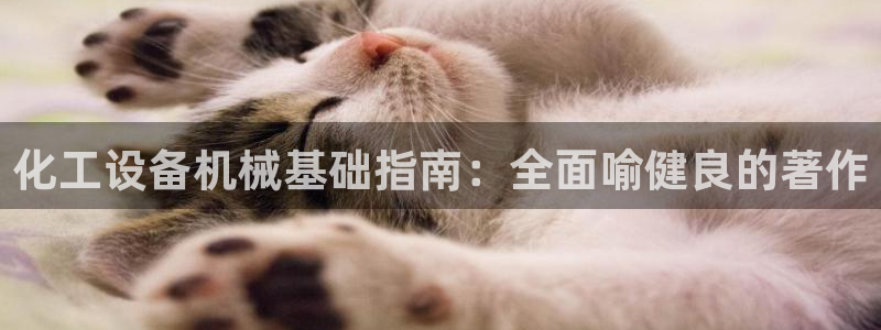 新城平台注册资金多少钱