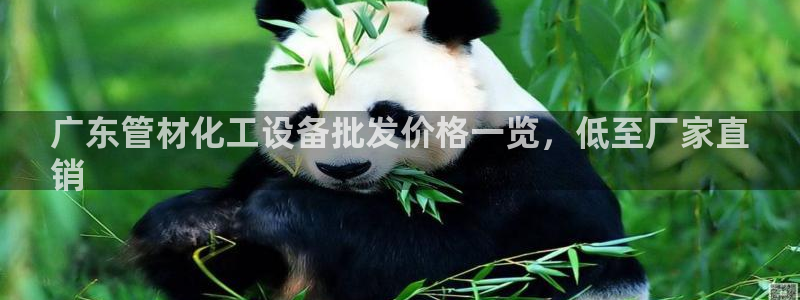 新城平台登录密码忘了怎么找回