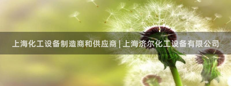 新城平台注册网址