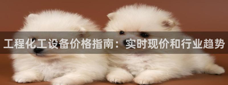新城平台代理注册条件：工程化工设备价格指南：实时现