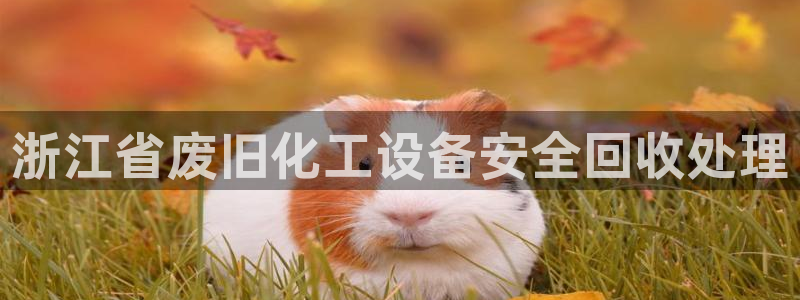新城平台负责人电话