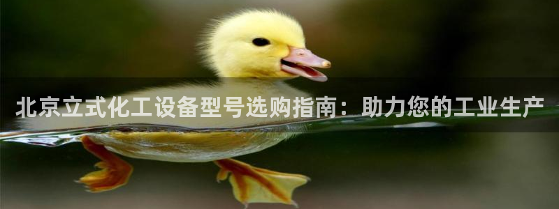 新城平台登录入口官网网址