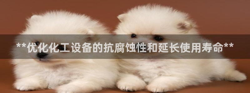 新城平台注册网址查询