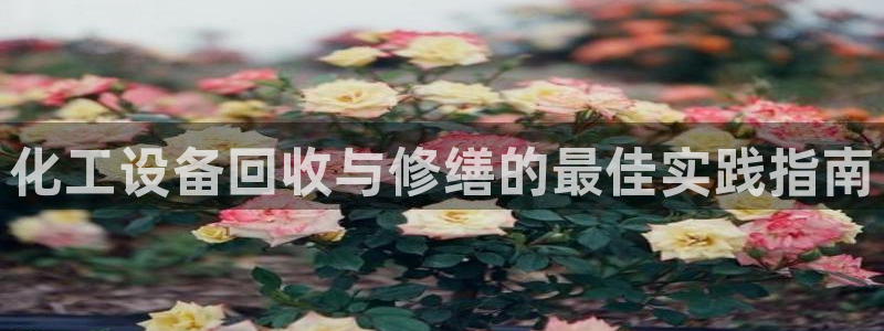 新城平台是干嘛的公司有哪些