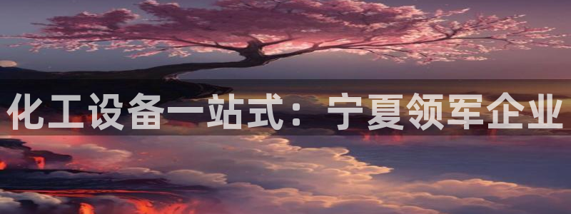 新城平台是干嘛的公司啊