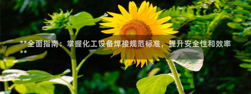 新城平台将7O777：**全面指南：掌握化工设备焊