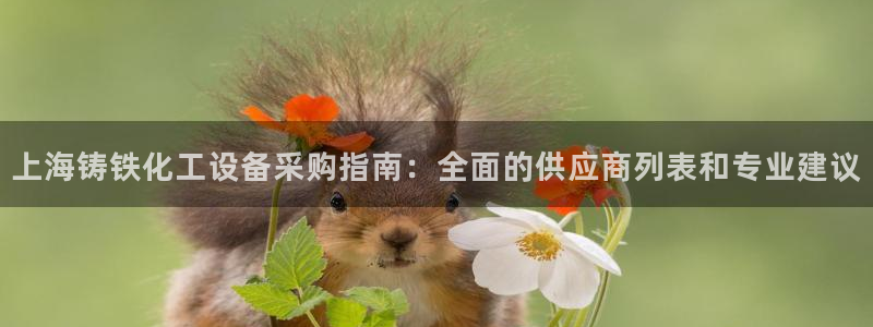新城平台代理注册条件
