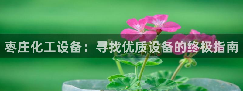 新城平台登录密码忘了
