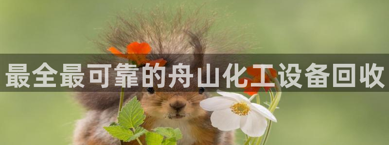 新城平台是干嘛的