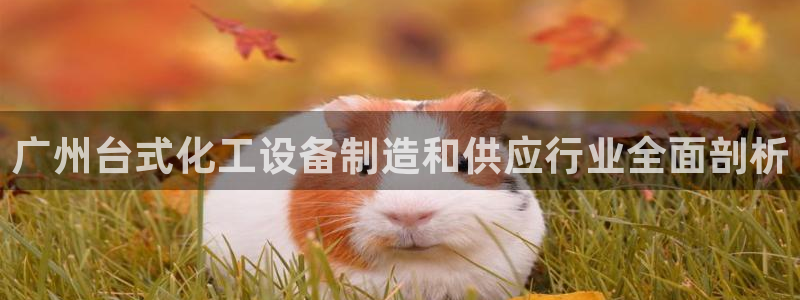 新城平台线路登录