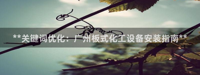 新城平台注册网址
