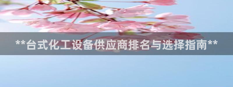 新城平台企业信息查询
