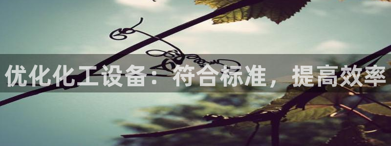 新城平台登录入口官网网址查询