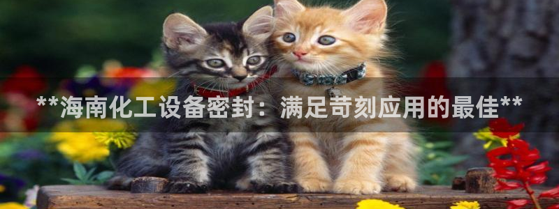 新城平台登录入口官网网址