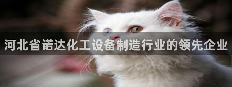 新城平台注册登录地址在哪